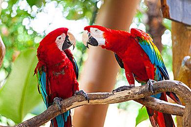 《龙魂：魔都异闻》登陆Steam 龙魂收集RPG